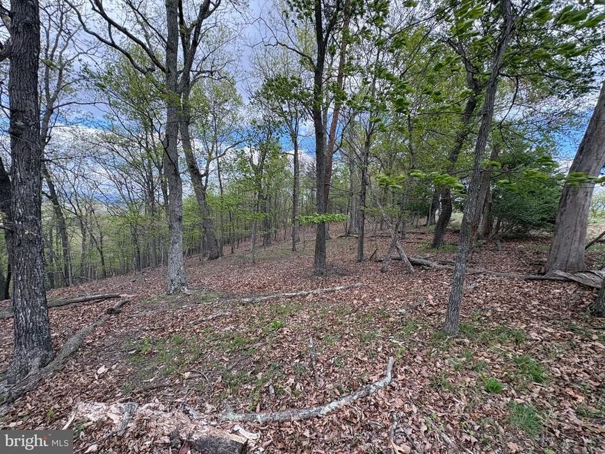 10 Ac Moon Ridge Lane, Burlington, WV 26710 Main Photo