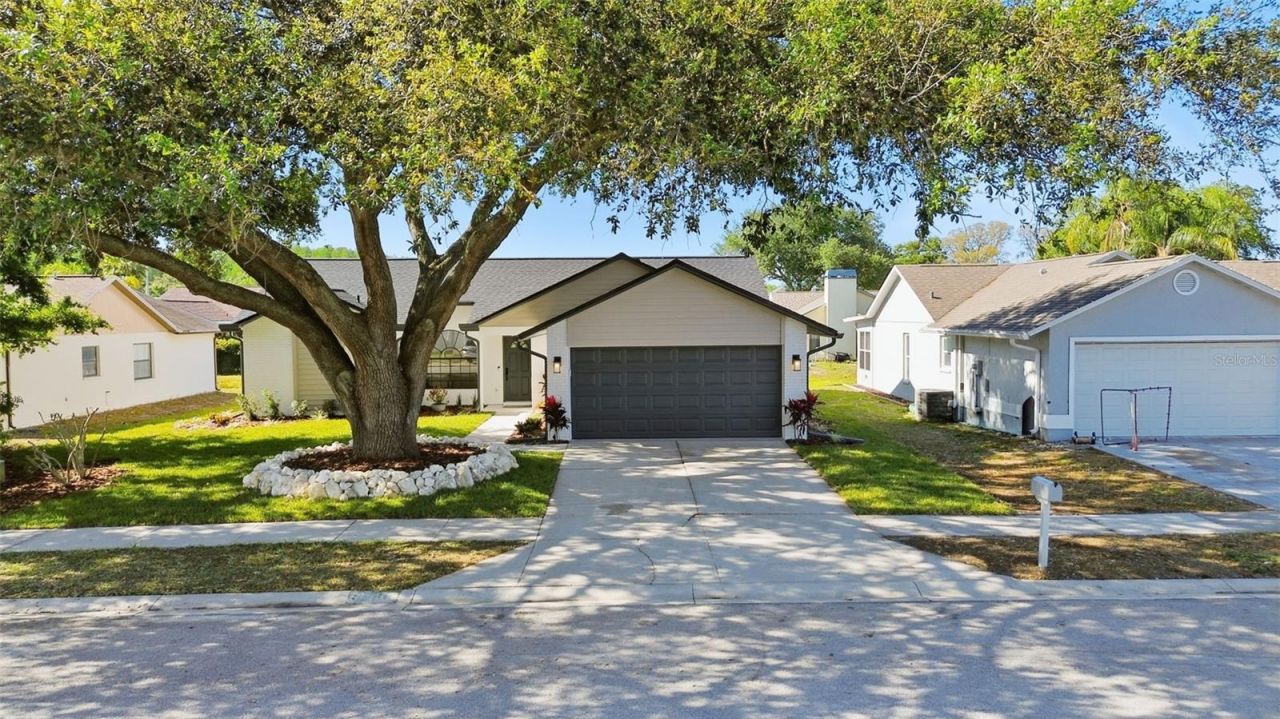 8452 Yearling Lane, New Port Richey, FL 34653 Photo