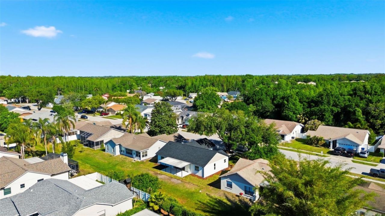 8452 Yearling Lane, New Port Richey, FL 34653 Photo