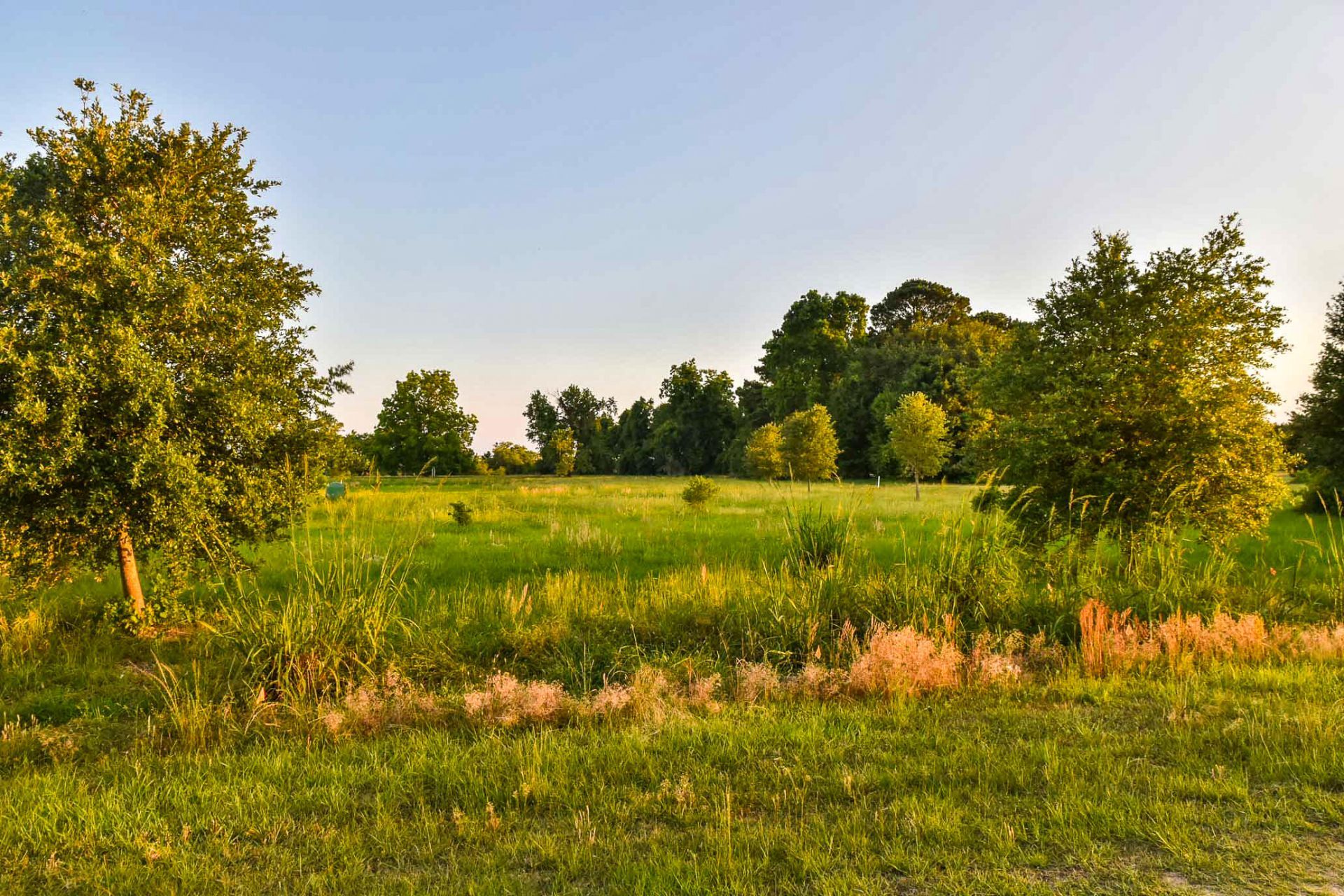 6001 Selkirk Plantation Road Photo 11