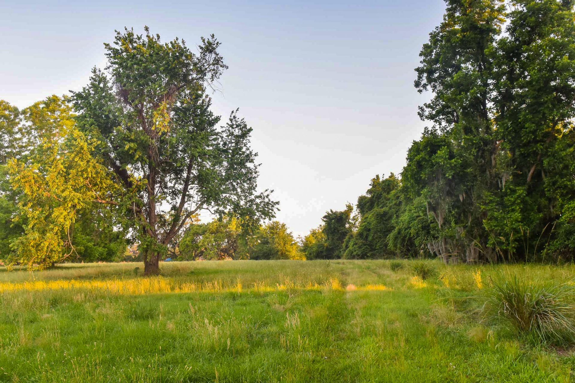 6001 Selkirk Plantation Road Photo 12