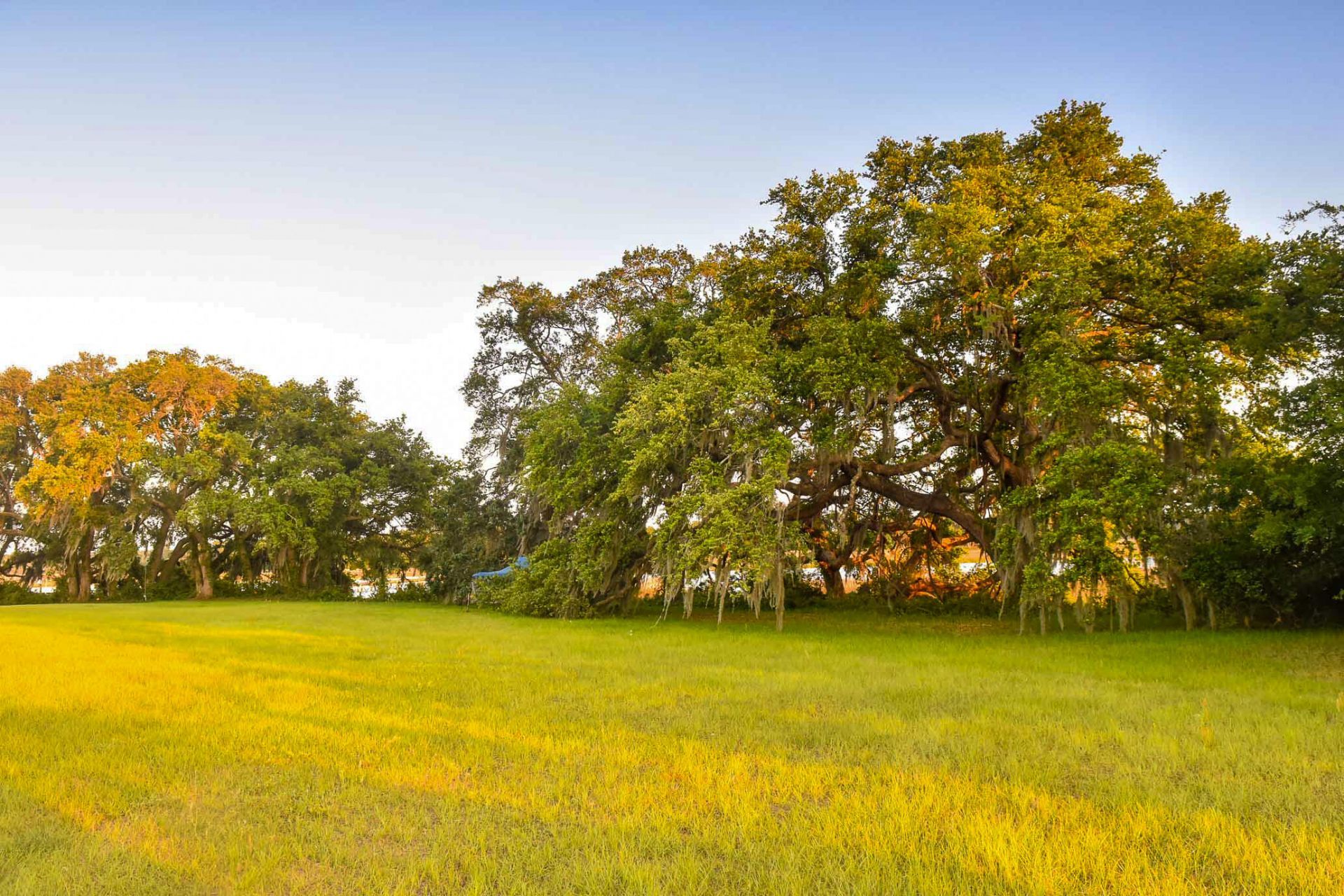 6001 Selkirk Plantation Road Photo 12