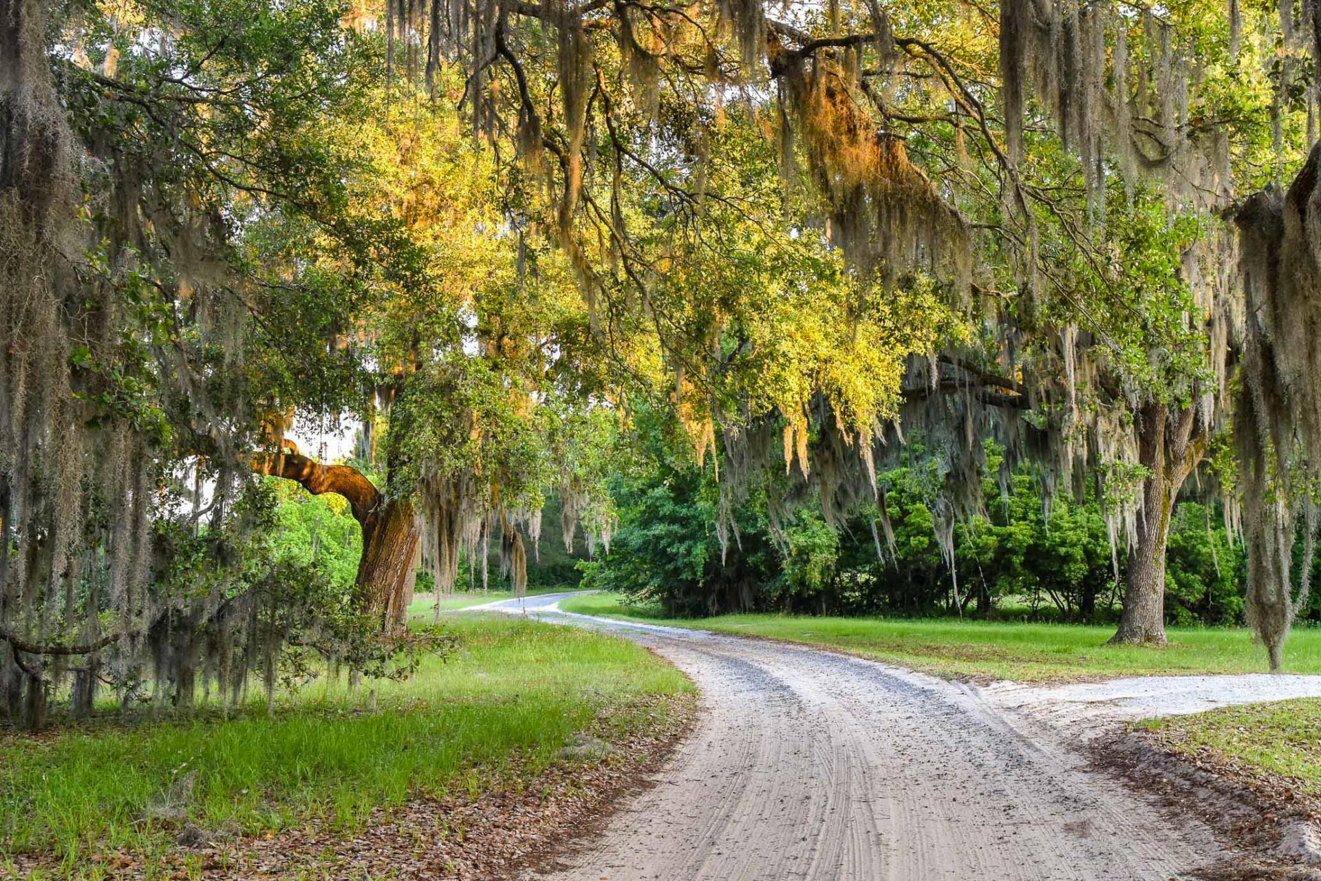 6001 Selkirk Plantation Road Photo 13