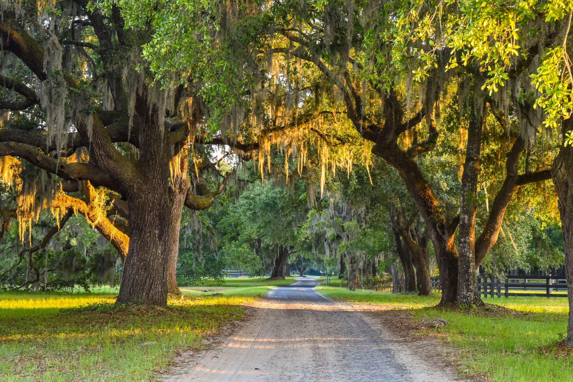 6001 Selkirk Plantation Road Photo 14