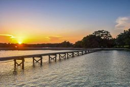 6001 Selkirk Plantation Road photo 4