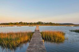 6001 Selkirk Plantation Road photo 4