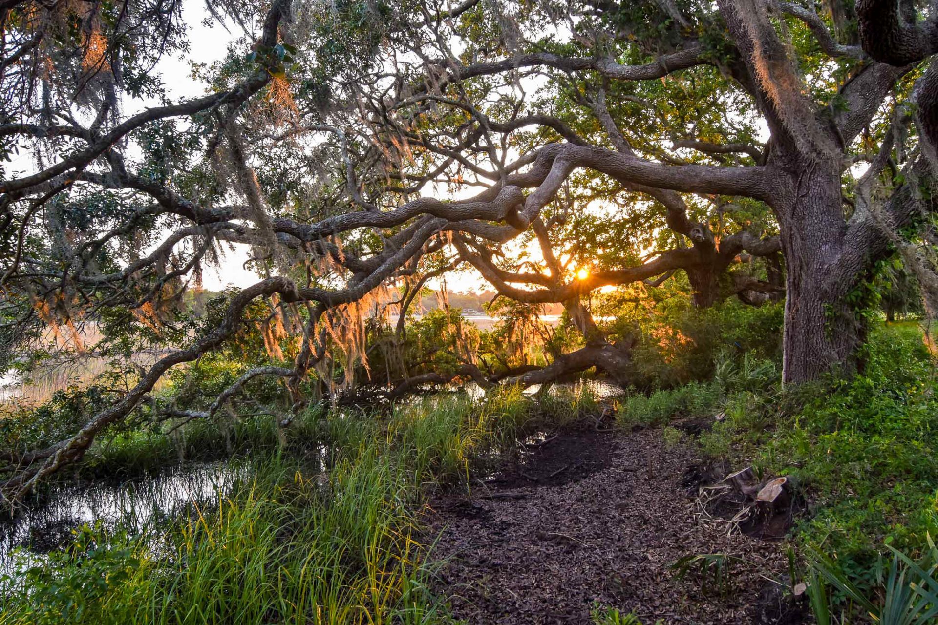 6001 Selkirk Plantation Road Photo 7