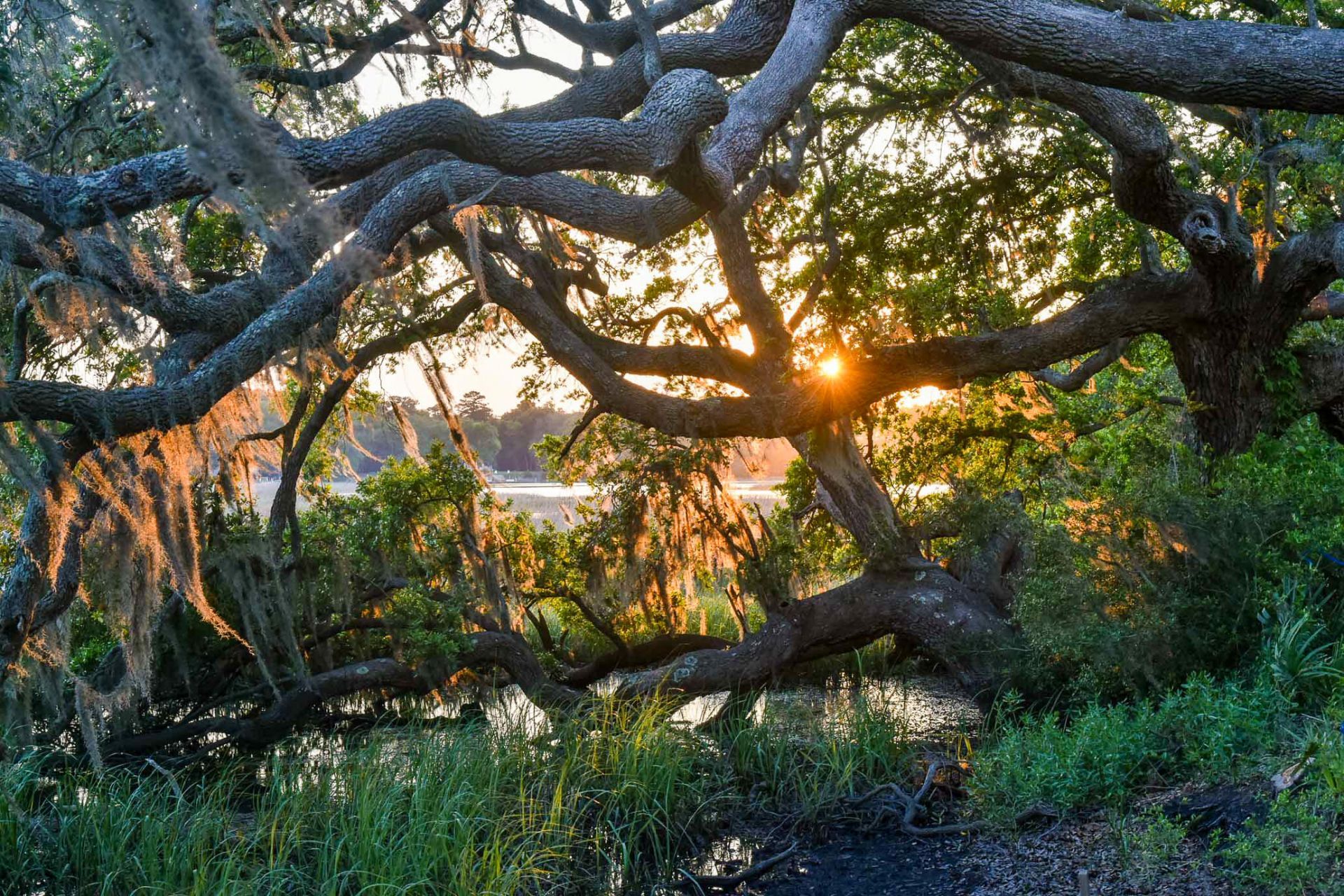 6001 Selkirk Plantation Road Photo 8