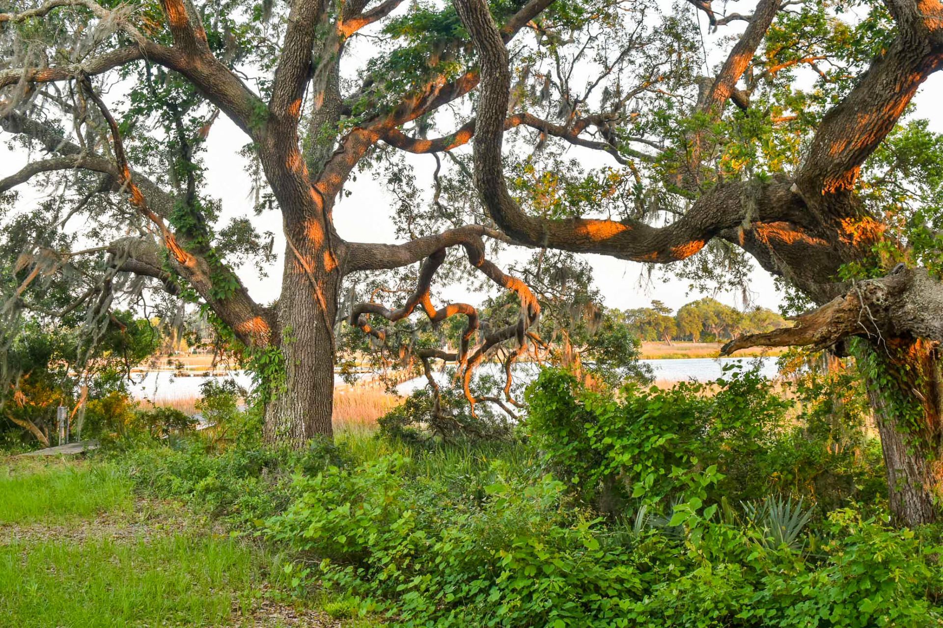 6001 Selkirk Plantation Road Photo 9