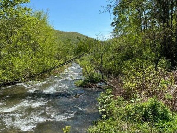 Tbd New York 28 , Big Indian, NY 12410