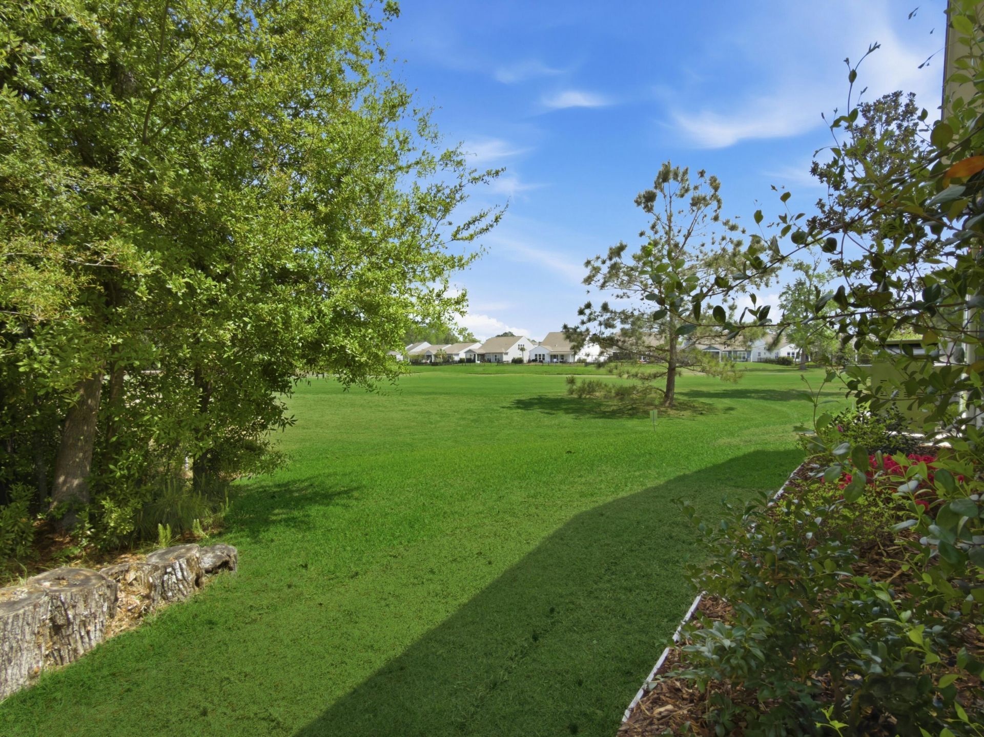 6194 Wilkes Pond Drive Photo 66