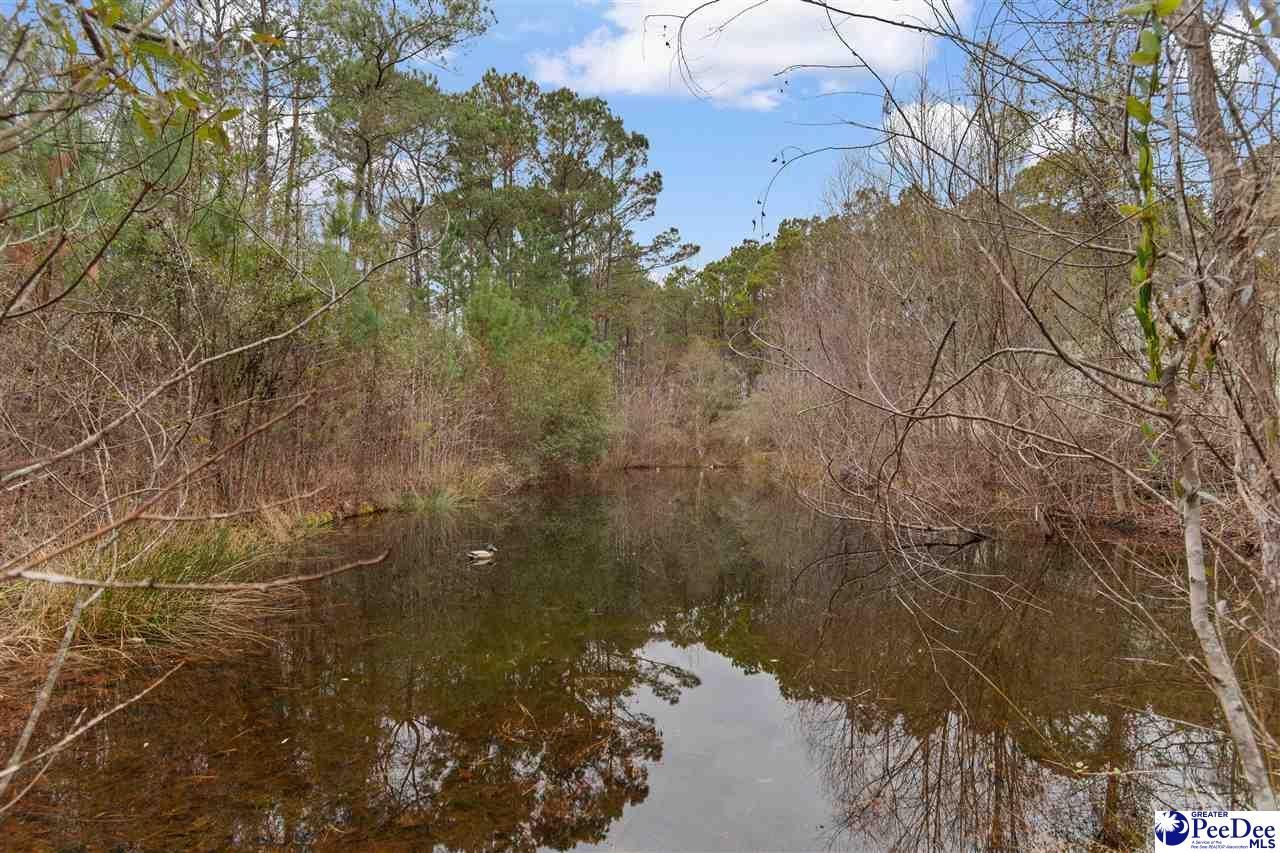 3534 Nichols Hwy Photo 26