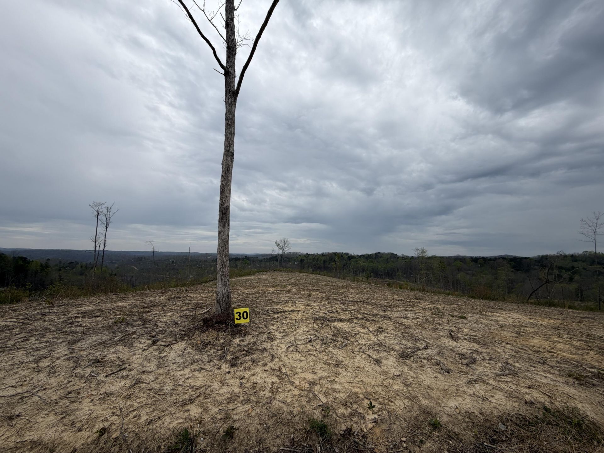 362 J B Lewis Road, East Bernstadt, KY 40729 Main Photo