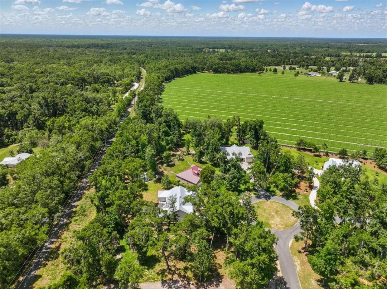 9061 Katherine Way, Fanning Springs, FL 32693 Photo