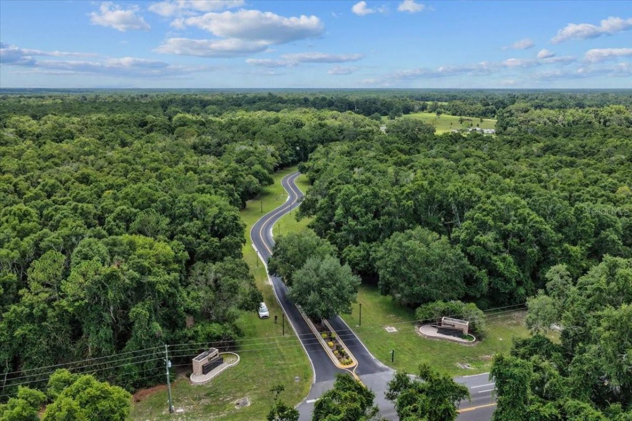 9061 Katherine Way, Fanning Springs, FL 32693 Photo