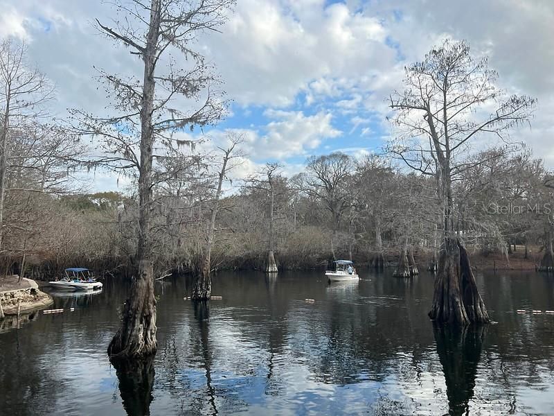 9061 Katherine Way, Fanning Springs, FL 32693 Photo