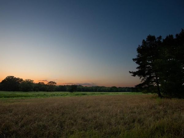 821 Gorman Oaks , Big Sandy, TX 75755