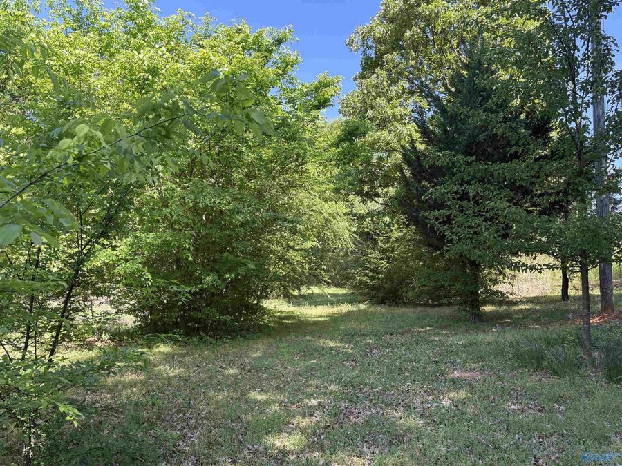 Property Image 45