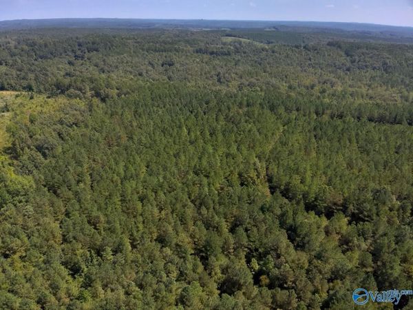 221 Blue Bird Road, Sulligent, AL 35586