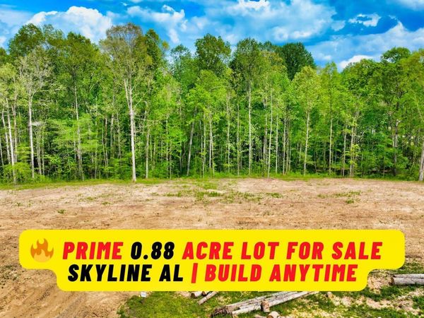 .88 Acre County Road 825, Scottsboro, AL 35768