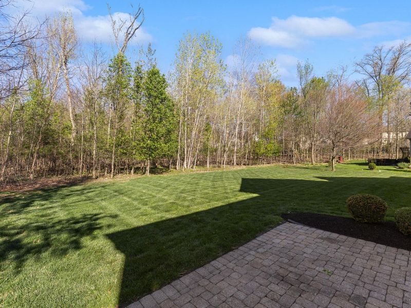 5697 Salem Drive, Westerville, OH 43082 Photo 68