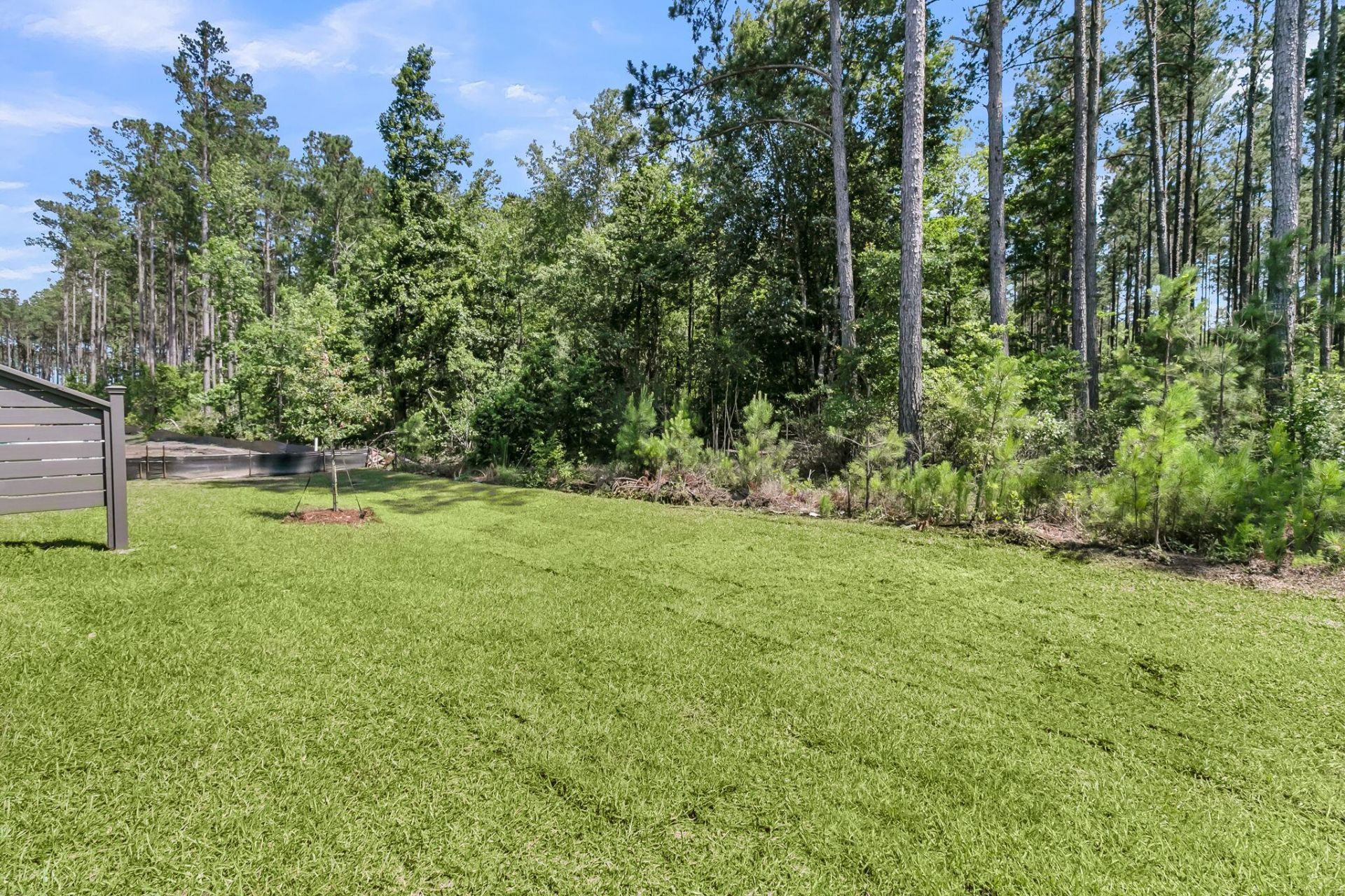 1055 Dusk Drive Photo 18