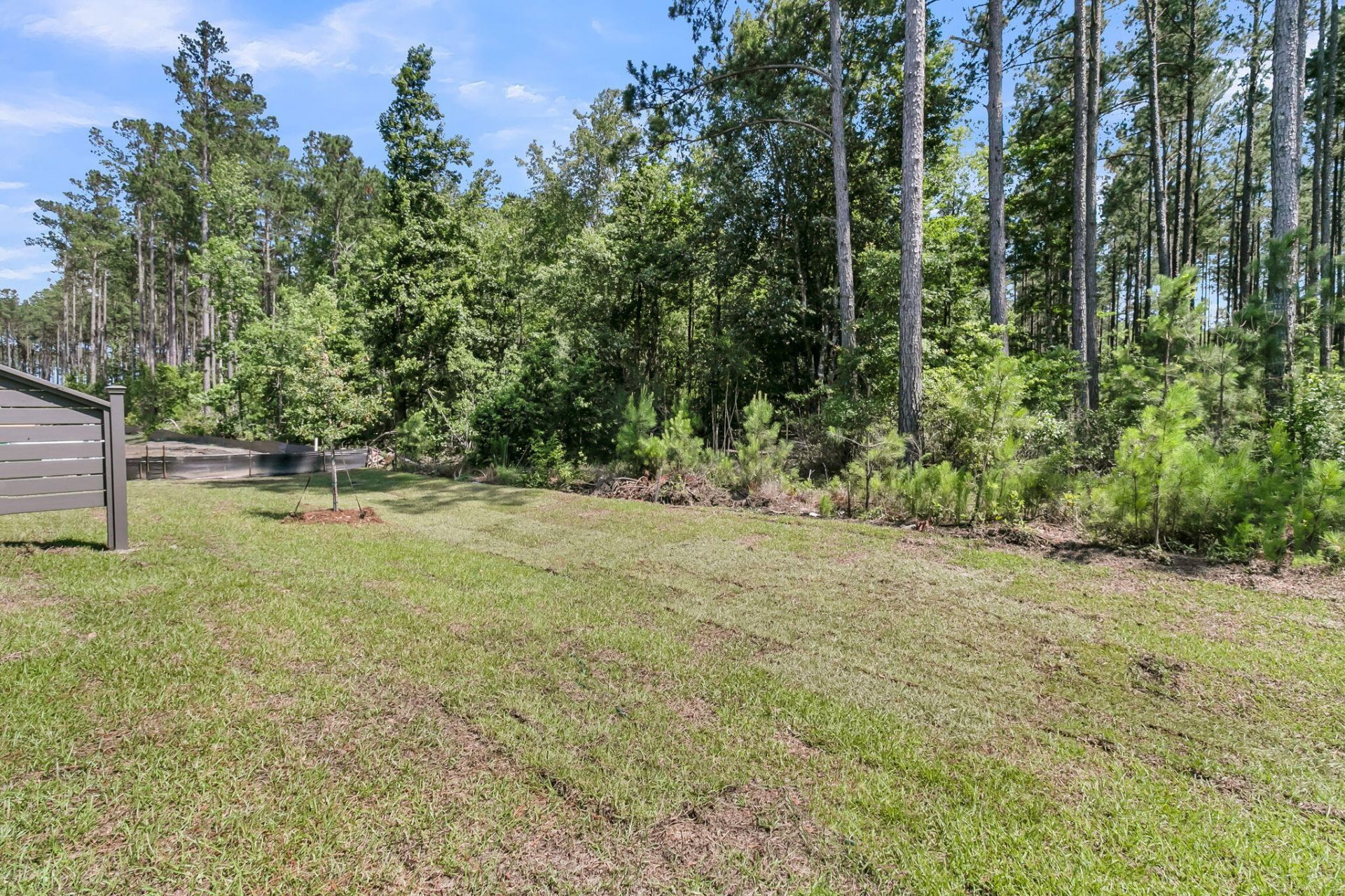 1055 Dusk Drive Photo 19
