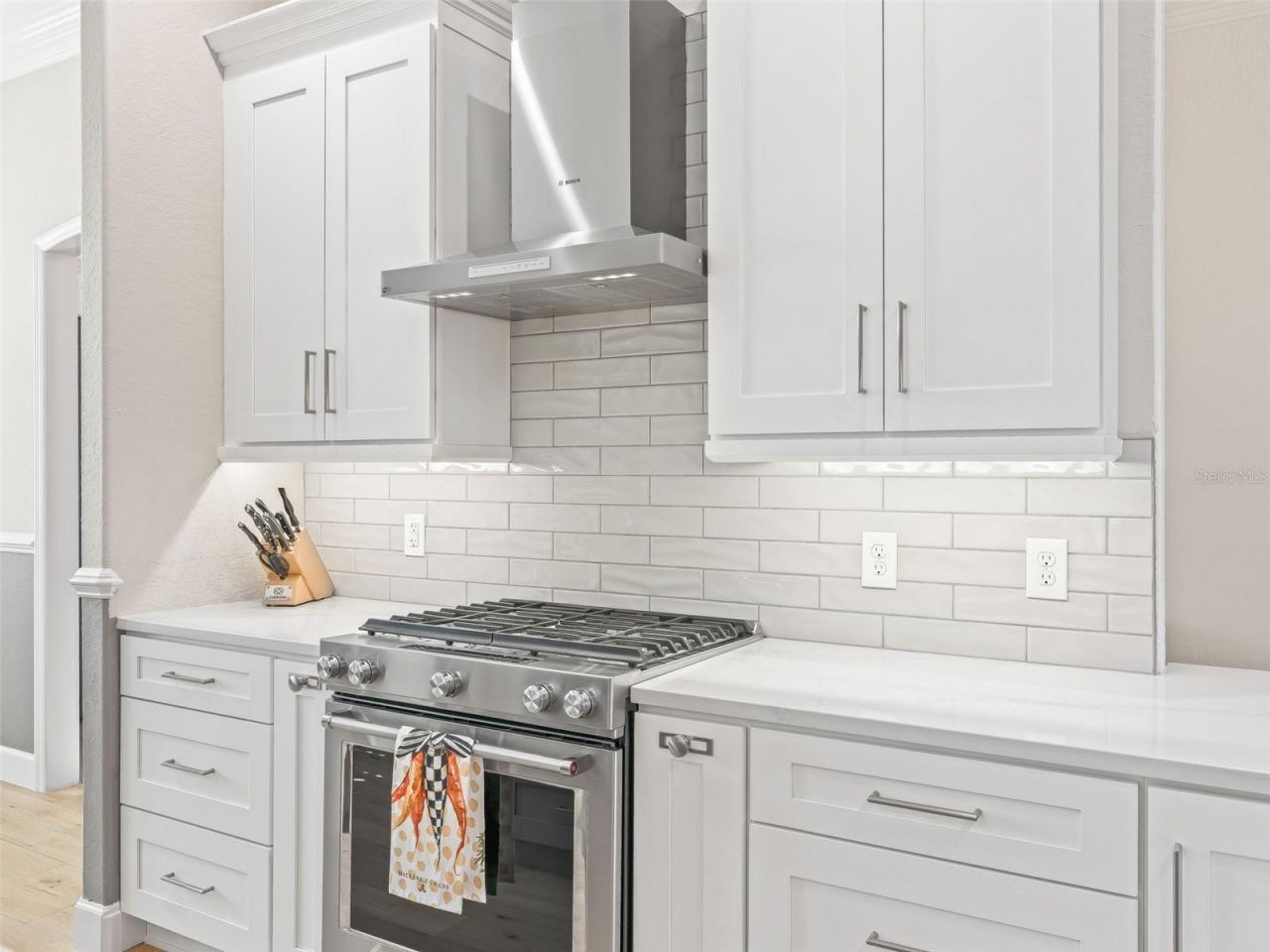 1477 Blease Loop, The Villages, FL 32162 Photo