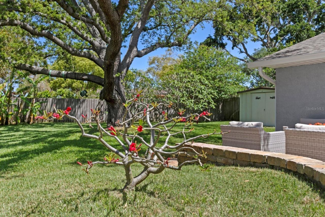 8645 Pinetree Drive W, Seminole, FL 33772 Photo