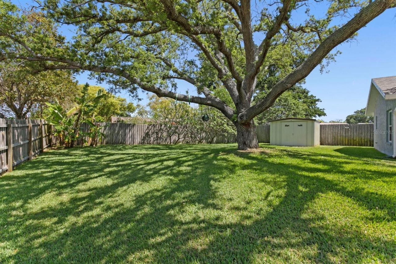 8645 Pinetree Drive W, Seminole, FL 33772 Photo