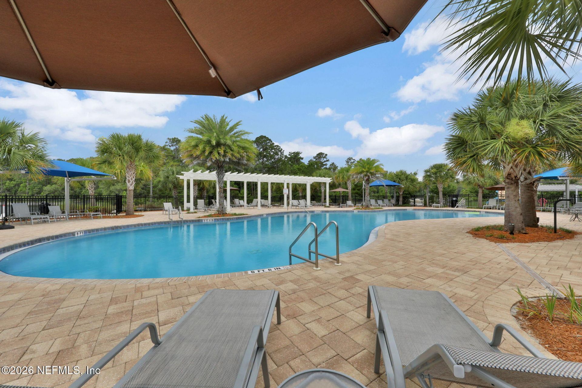 14650 Littleleaf Drive, Jacksonville, FL 32258 Photo