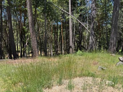 20955 Todd Valley Rd, Foresthill, CA 95631 Photo