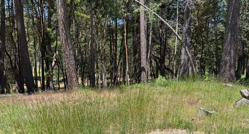 20955 Todd Valley Rd, Foresthill, CA 95631 Photo