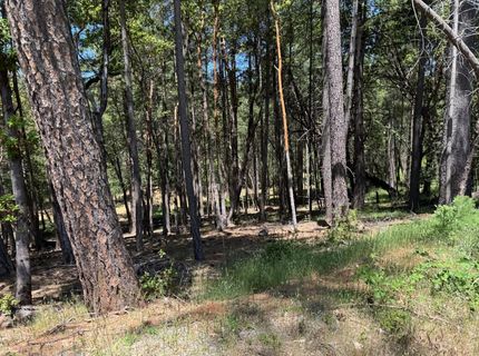 20955 Todd Valley Rd, Foresthill, CA 95631 Photo