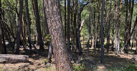 20955 Todd Valley Rd, Foresthill, CA 95631 Photo