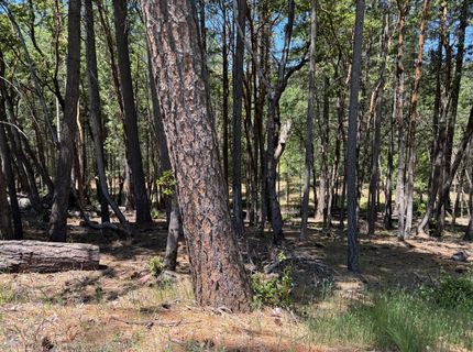 20955 Todd Valley Rd, Foresthill, CA 95631 Photo