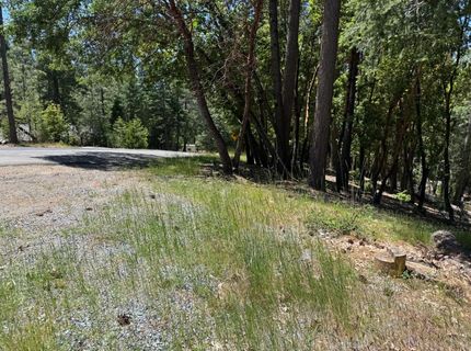 20955 Todd Valley Rd, Foresthill, CA 95631 Photo