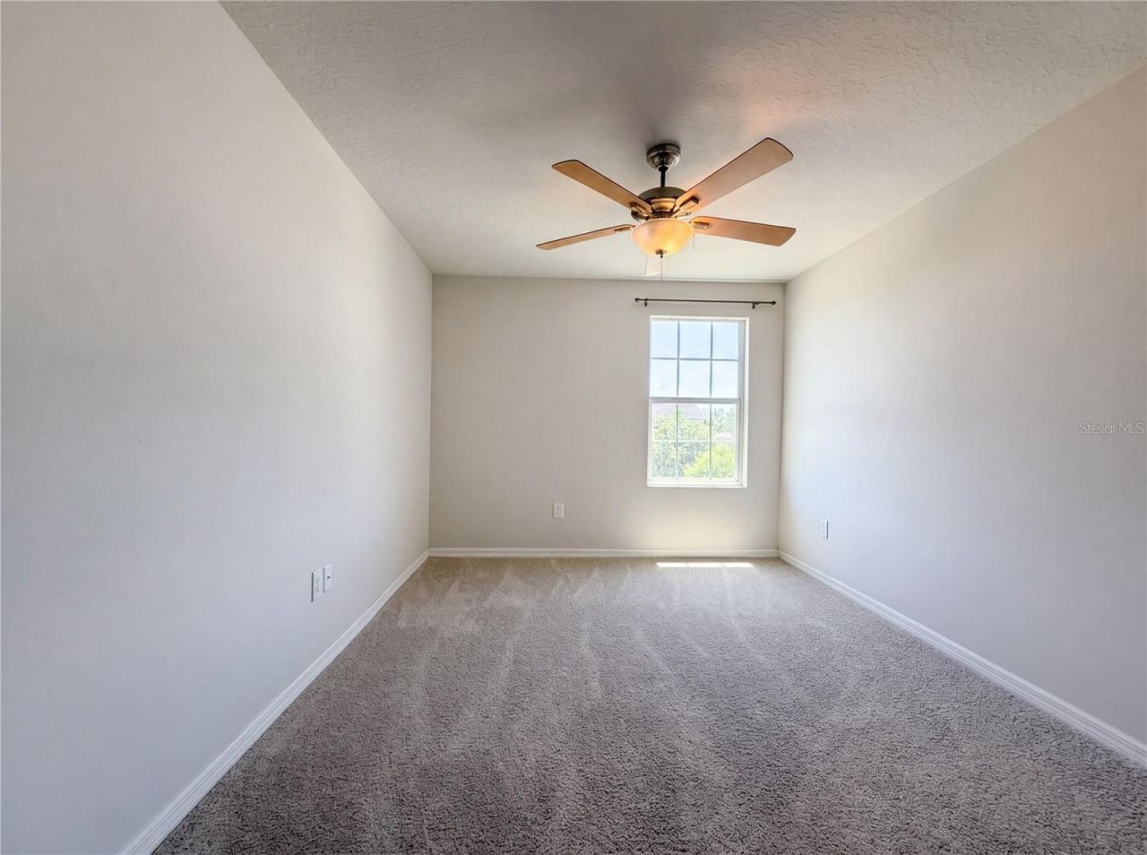 14405 Scottburgh Glen Drive, Wimauma, FL 33598 Photo
