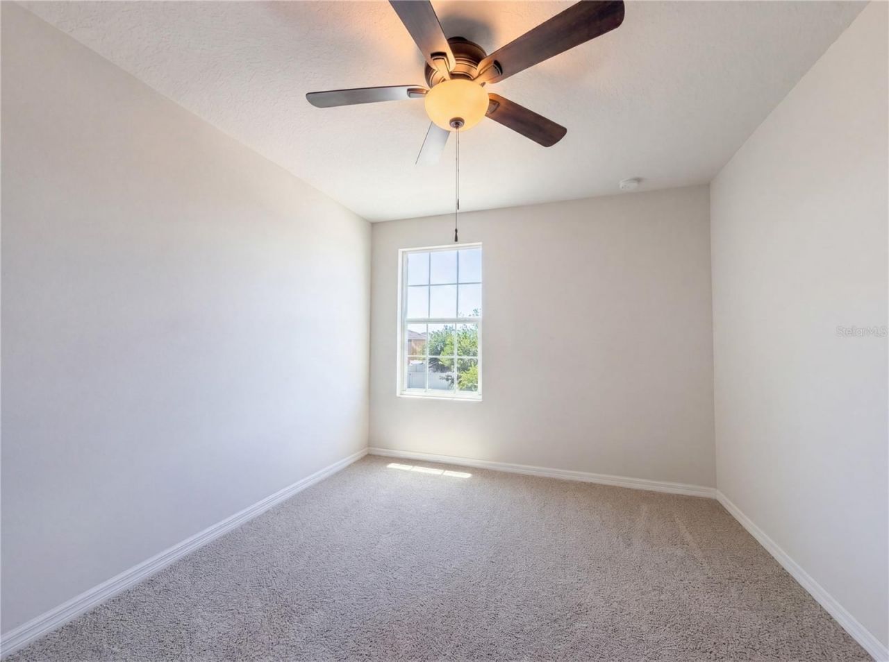 14405 Scottburgh Glen Drive, Wimauma, FL 33598 Photo