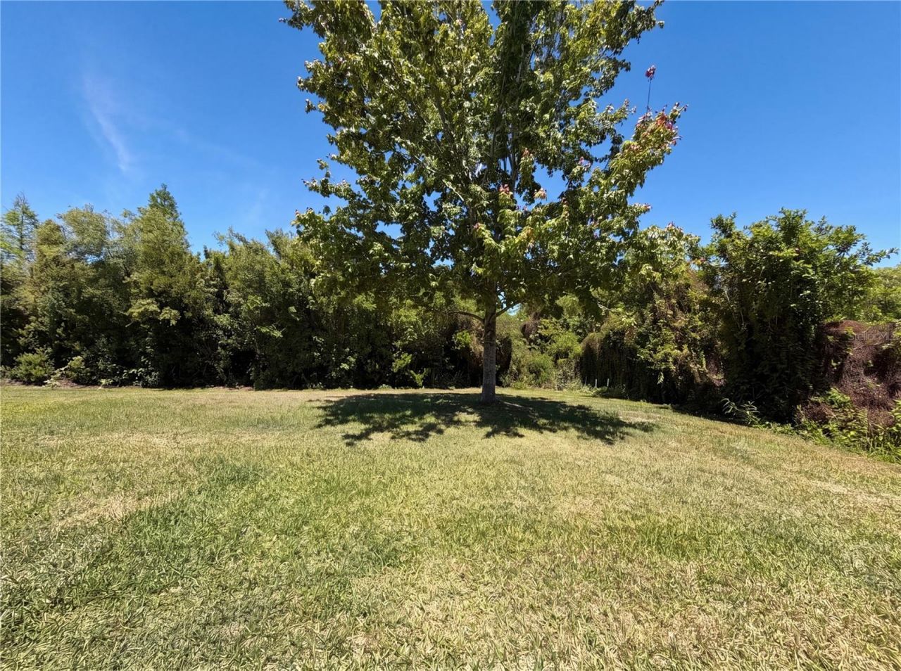 14405 Scottburgh Glen Drive, Wimauma, FL 33598 Photo