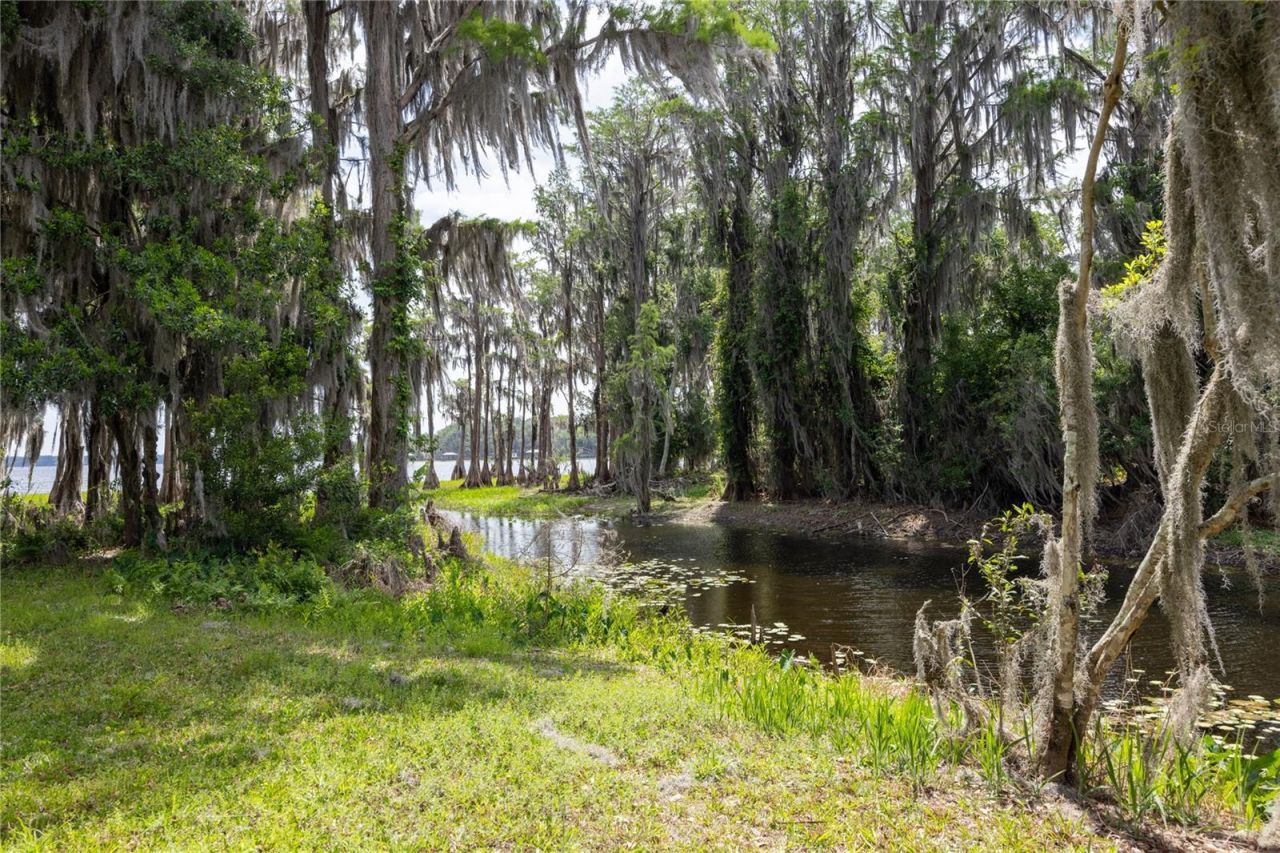 7305 NE 222nd Street , Melrose, FL 32666 Photo