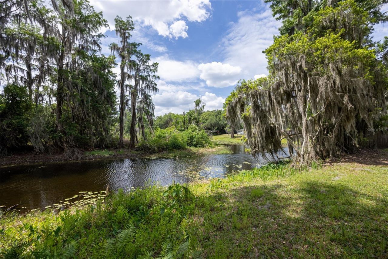 7305 NE 222nd Street , Melrose, FL 32666 Photo