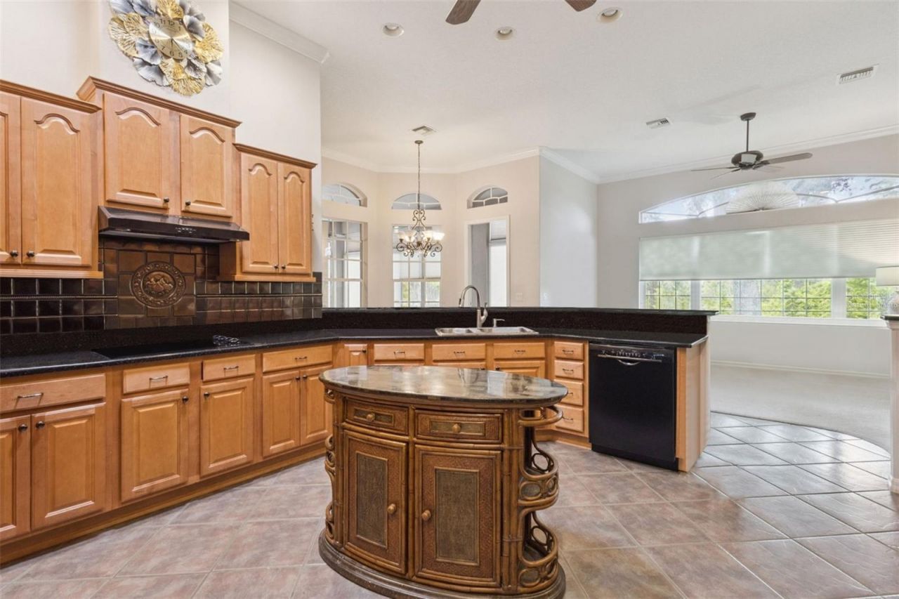 5607 Sir Churchill Drive, Leesburg, FL 34748 Photo