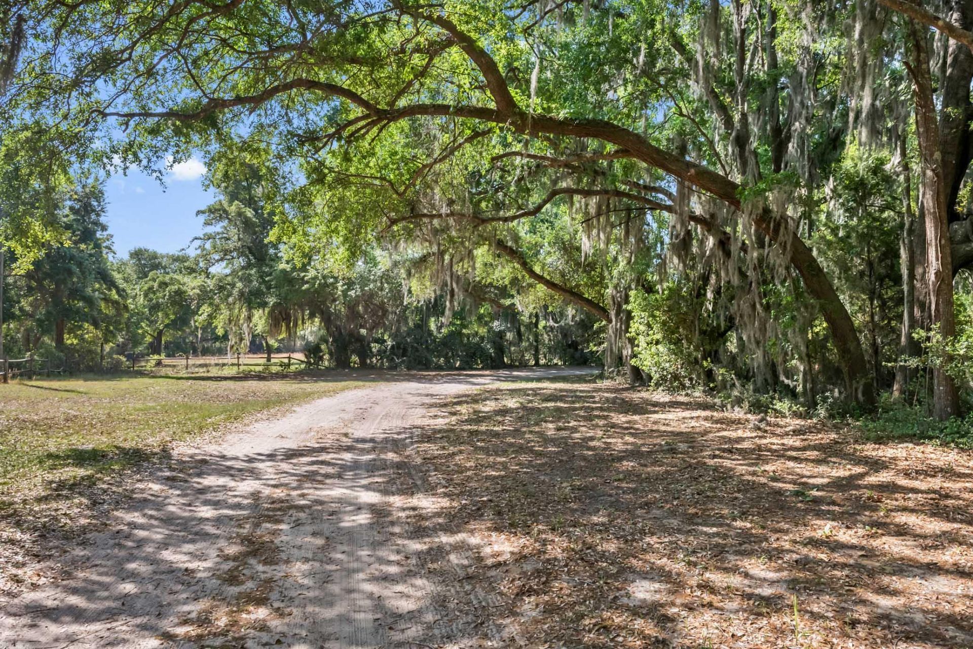 6195 Ranch Road Photo 38