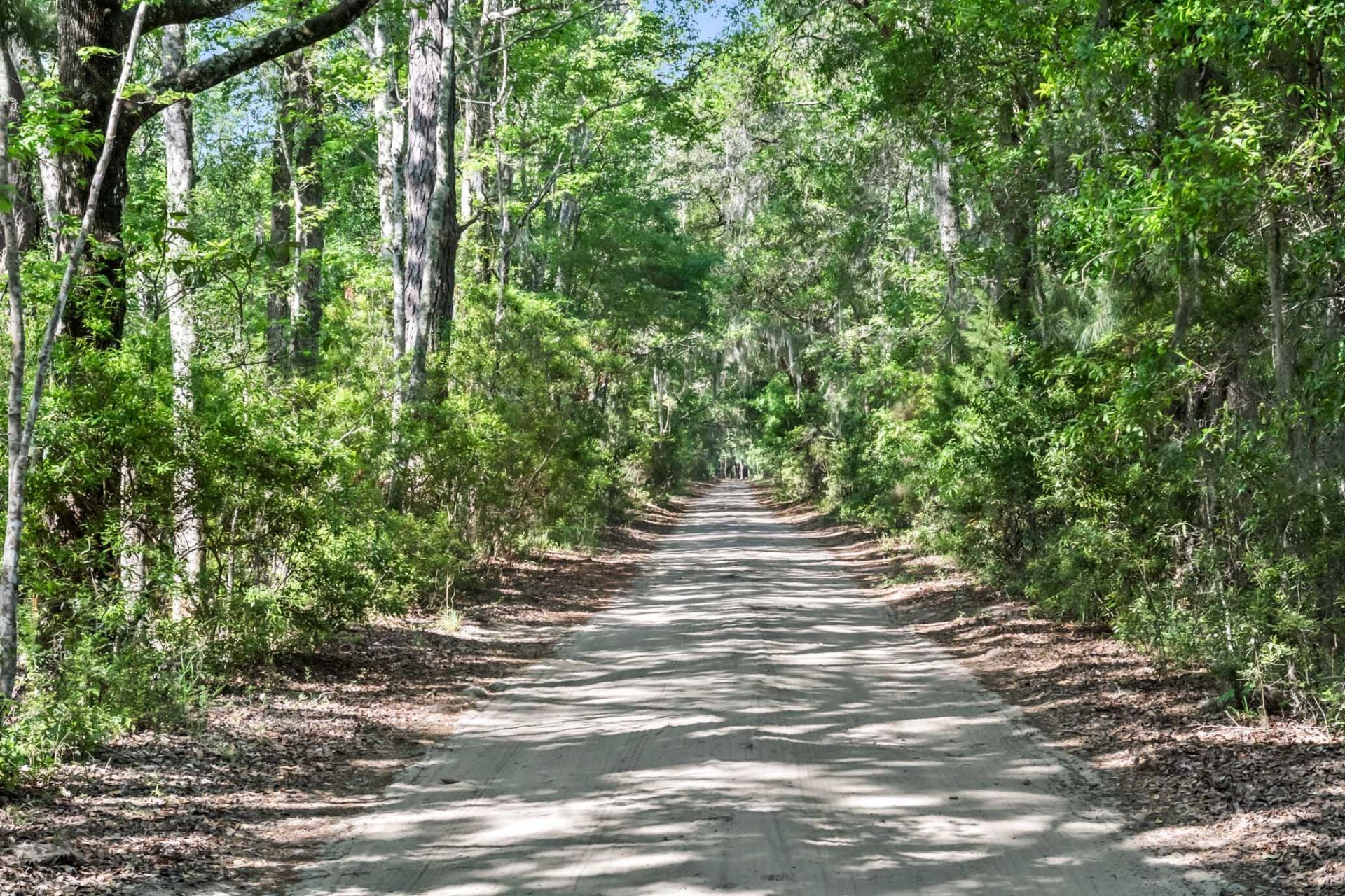 6195 Ranch Road Photo 39