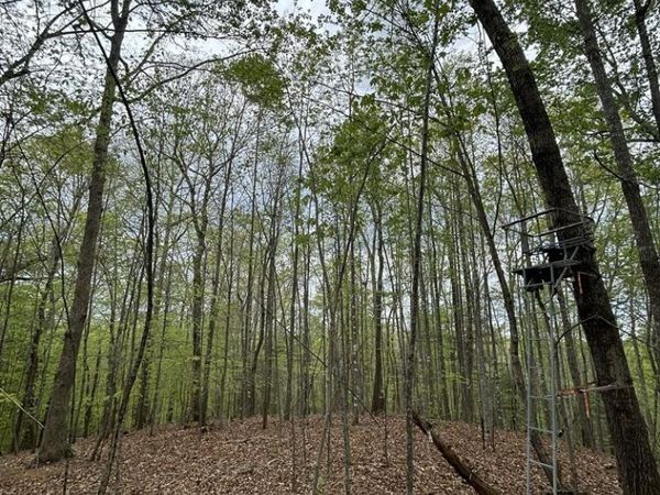 0 Mockingbird LN , Bassett, VA 24055