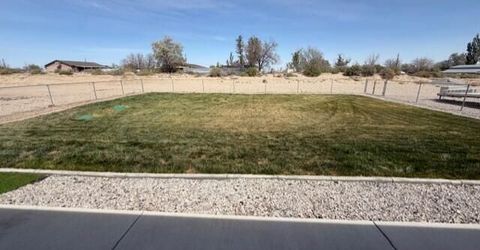 1135 Jungle Drive, Fallon, NV 89406 Photo
