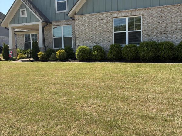 4305 Mitchell Place, Olive Branch, MS 38654