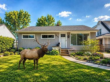 3317 Normandy Road, Royal Oak, MI 48073