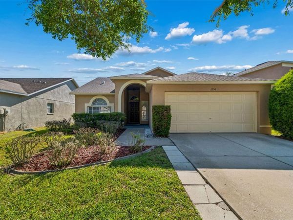 1250 SALT CLAY COURT , WESLEY CHAPEL, FL 33544